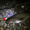 釣行記20190628