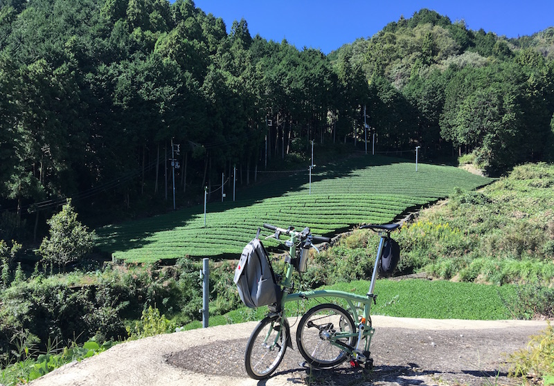 第1回京都ロングライド in South Aound 逆大正池の激坂　茶畑
