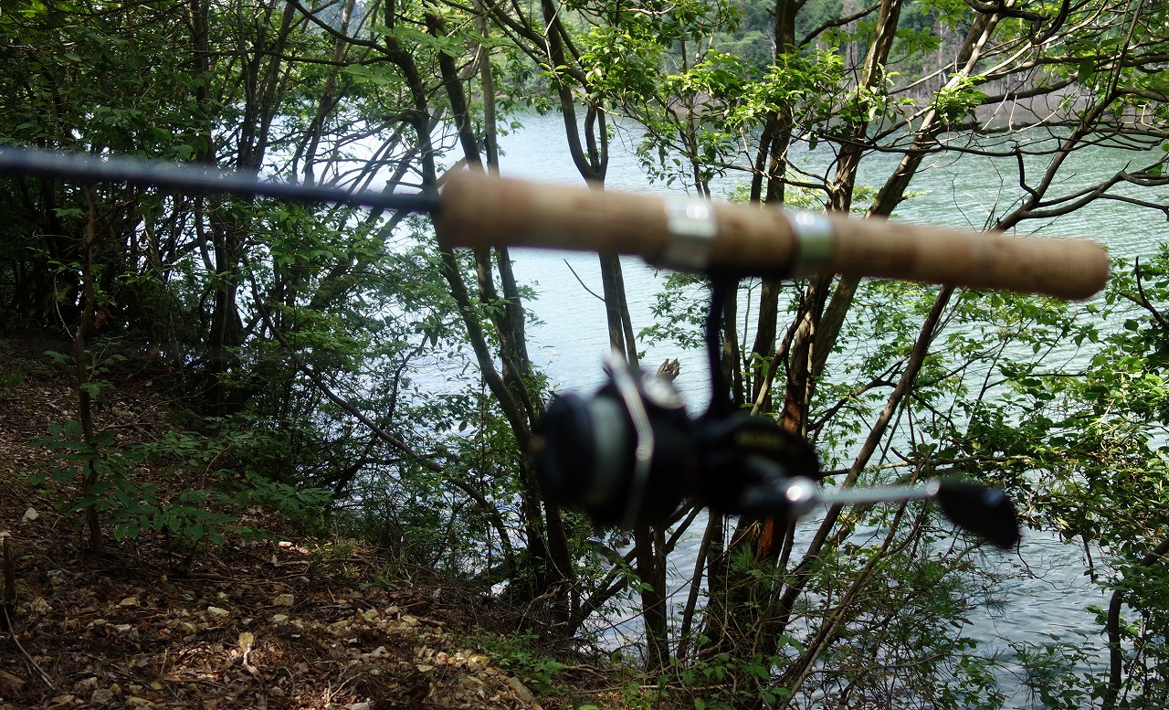 京都の沢の池で魚釣り